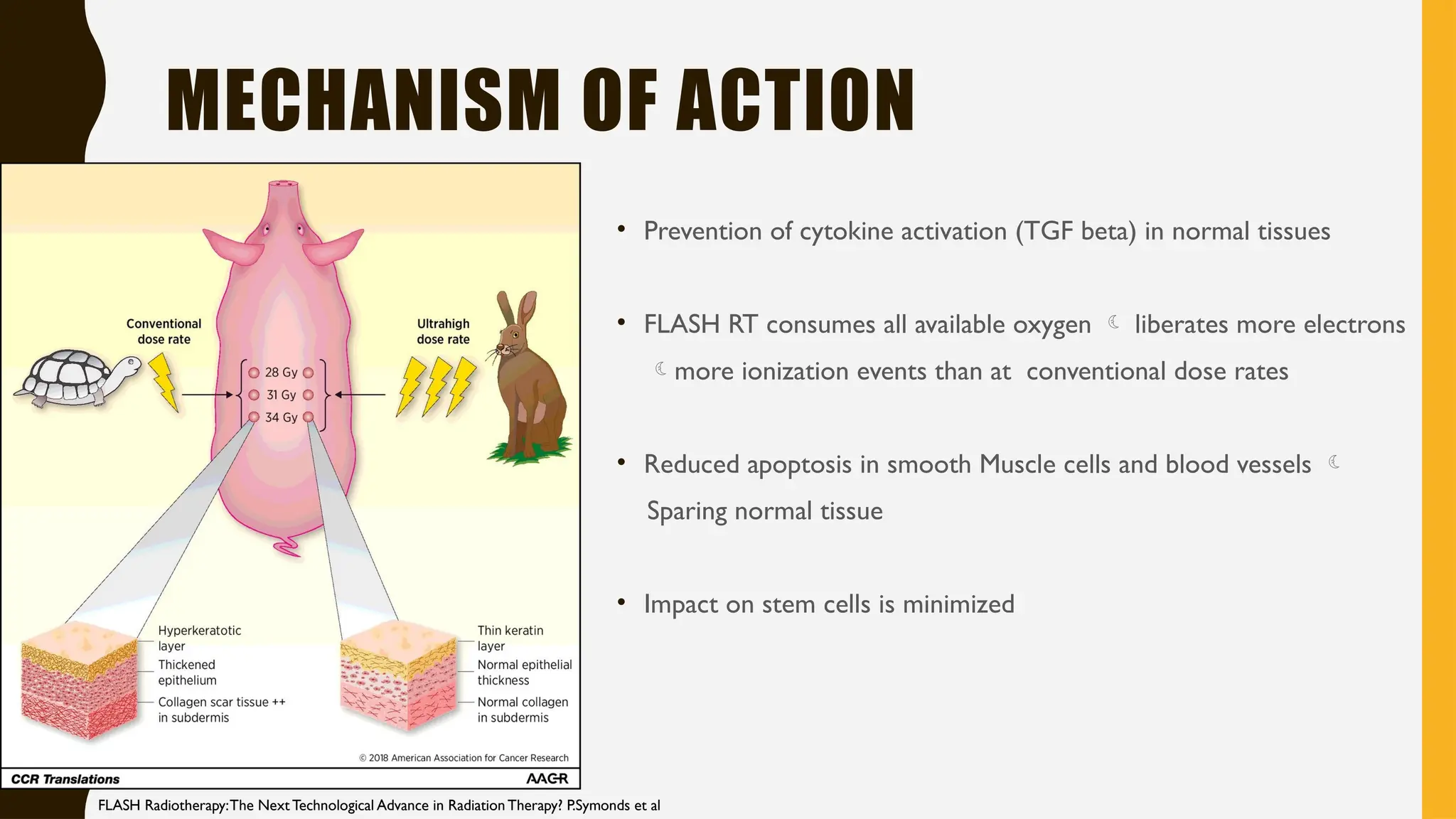 Flash RT- flash radiation therapy .pptx
