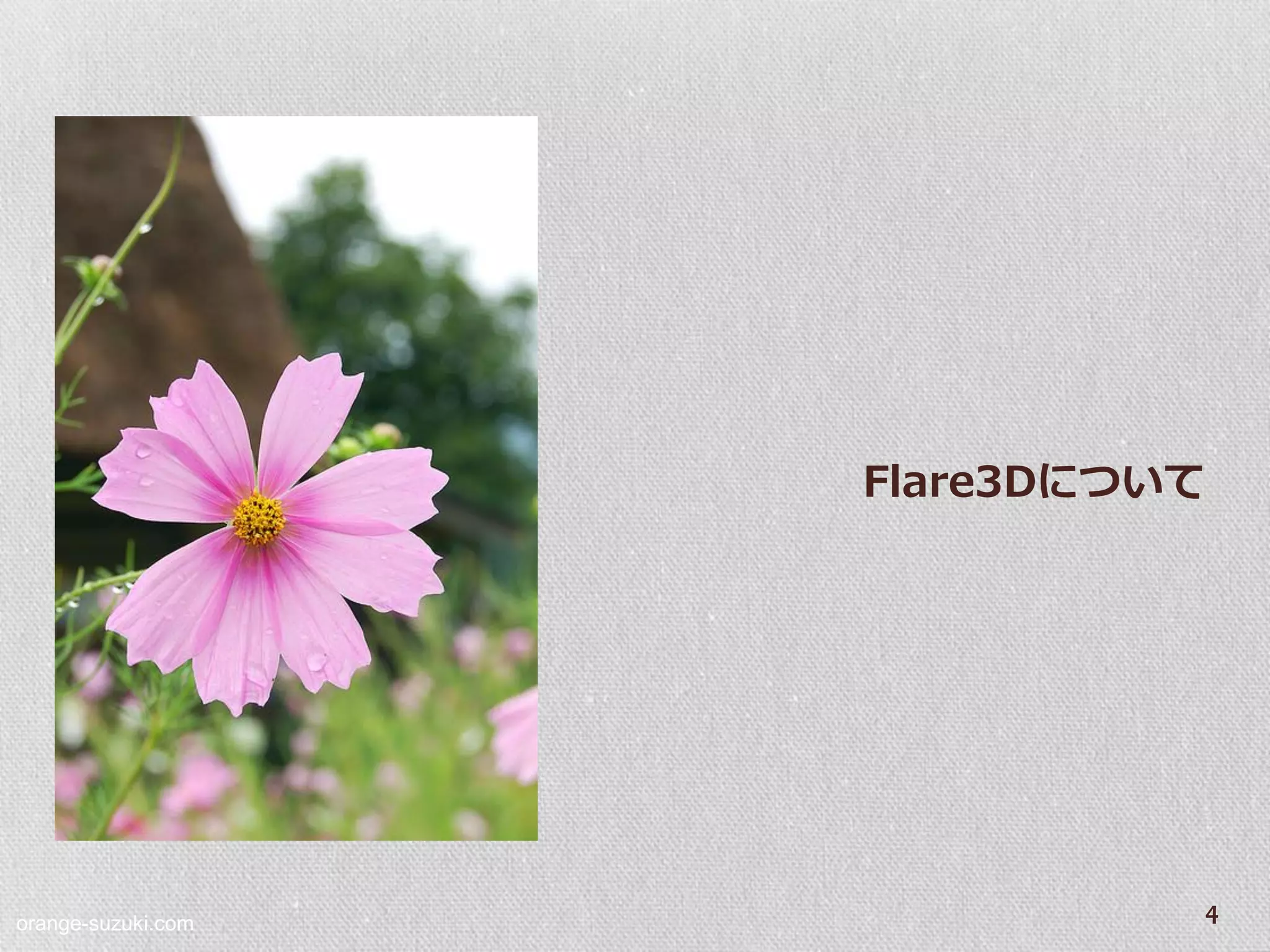 Flare3Dについて




orange-suzuki.com
                              4
 