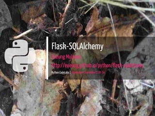 
Flask-SQLAlchemy
Eueung Mulyana
http://eueung.github.io/python/flask-sqlalchemy
Python CodeLabs | Attribution-ShareAlike CC BY-SA
1 / 20
 