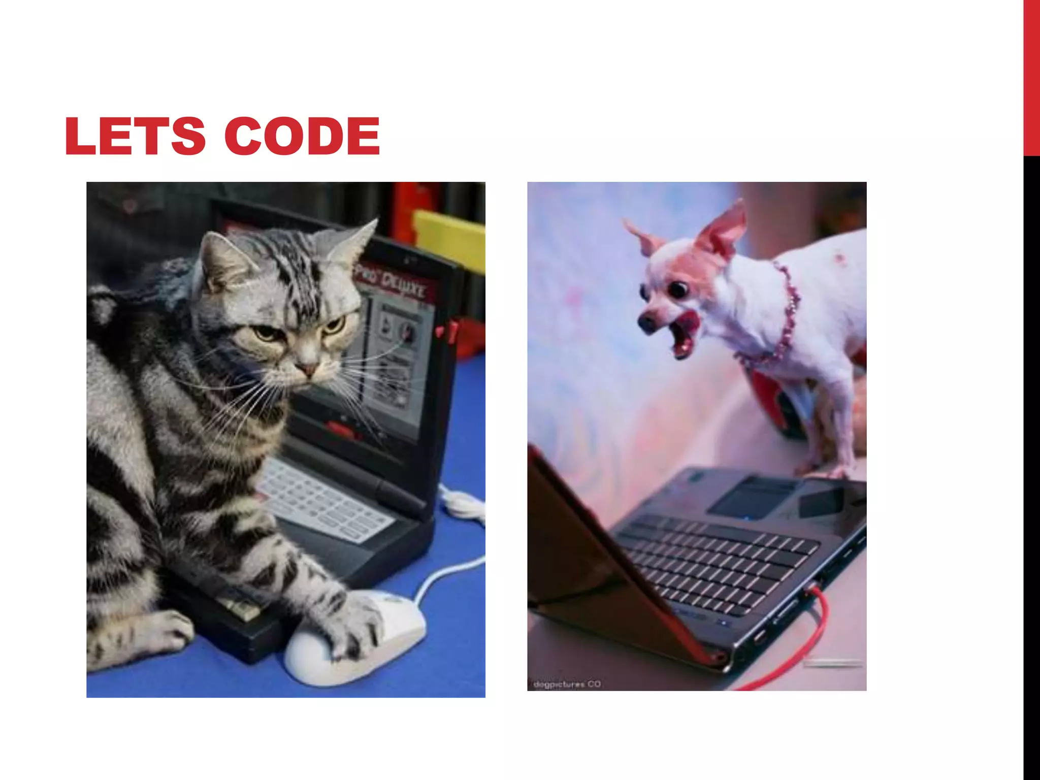 LETS CODE
 