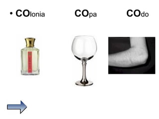 CO lonia  CO pa  CO do  