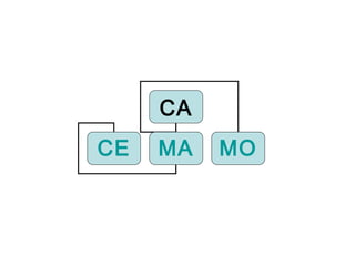 CA CE MA MO 