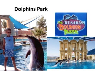 Dolphins Park
 