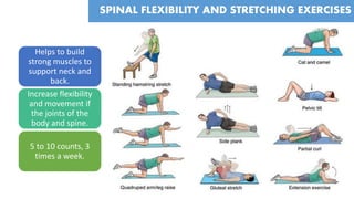 Helps to build
strong muscles to
support neck and
back.
Increase flexibility
and movement if
the joints of the
body and spine.
5 to 10 counts, 3
times a week.
SPINAL FLEXIBILITY AND STRETCHING EXERCISES
 