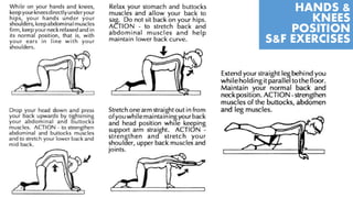 HANDS &
KNEES
POSITION
S&F EXERCISES
 