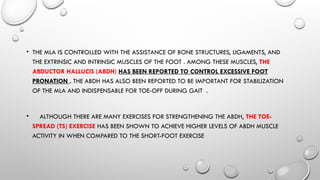 • THE MLA IS CONTROLLED WITH THE ASSISTANCE OF BONE STRUCTURES, LIGAMENTS, AND
THE EXTRINSIC AND INTRINSIC MUSCLES OF THE FOOT . AMONG THESE MUSCLES, THE
ABDUCTOR HALLUCIS (ABDH) HAS BEEN REPORTED TO CONTROL EXCESSIVE FOOT
PRONATION . THE ABDH HAS ALSO BEEN REPORTED TO BE IMPORTANT FOR STABILIZATION
OF THE MLA AND INDISPENSABLE FOR TOE-OFF DURING GAIT .
• ALTHOUGH THERE ARE MANY EXERCISES FOR STRENGTHENING THE ABDH, THE TOE-
SPREAD (TS) EXERCISE HAS BEEN SHOWN TO ACHIEVE HIGHER LEVELS OF ABDH MUSCLE
ACTIVITY IN WHEN COMPARED TO THE SHORT-FOOT EXERCISE
 