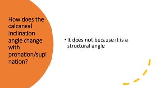 How does the
calcaneal
inclination
angle change
with
pronation/supi
nation?
•It does not because it is a
structural angle
 