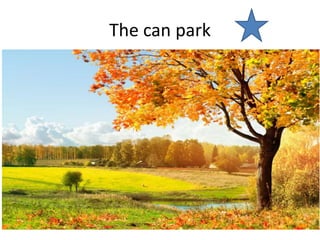 The can park
 