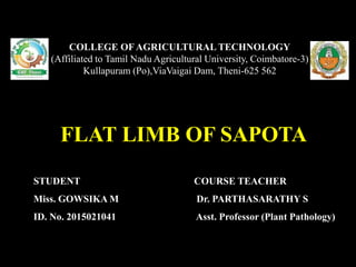 FLAT LIMB OF SAPOTA
COLLEGE OF AGRICULTURAL TECHNOLOGY
(Affiliated to Tamil Nadu Agricultural University, Coimbatore-3)
Kullapuram (Po),ViaVaigai Dam, Theni-625 562
STUDENT
Miss. GOWSIKA M
ID. No. 2015021041
COURSE TEACHER
Dr. PARTHASARATHY S
Asst. Professor (Plant Pathology)
 