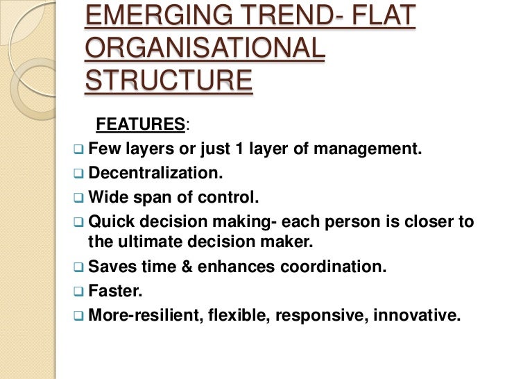 flat organizational structure