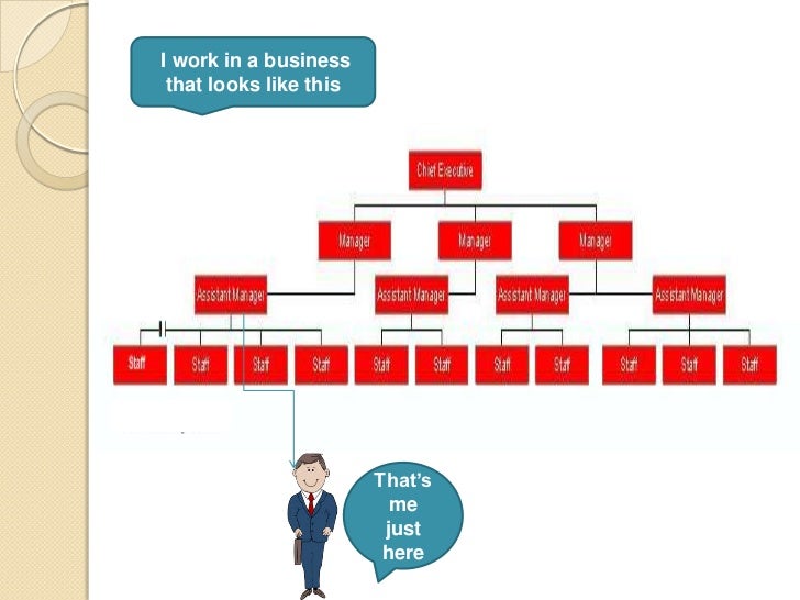 flat organizational structure