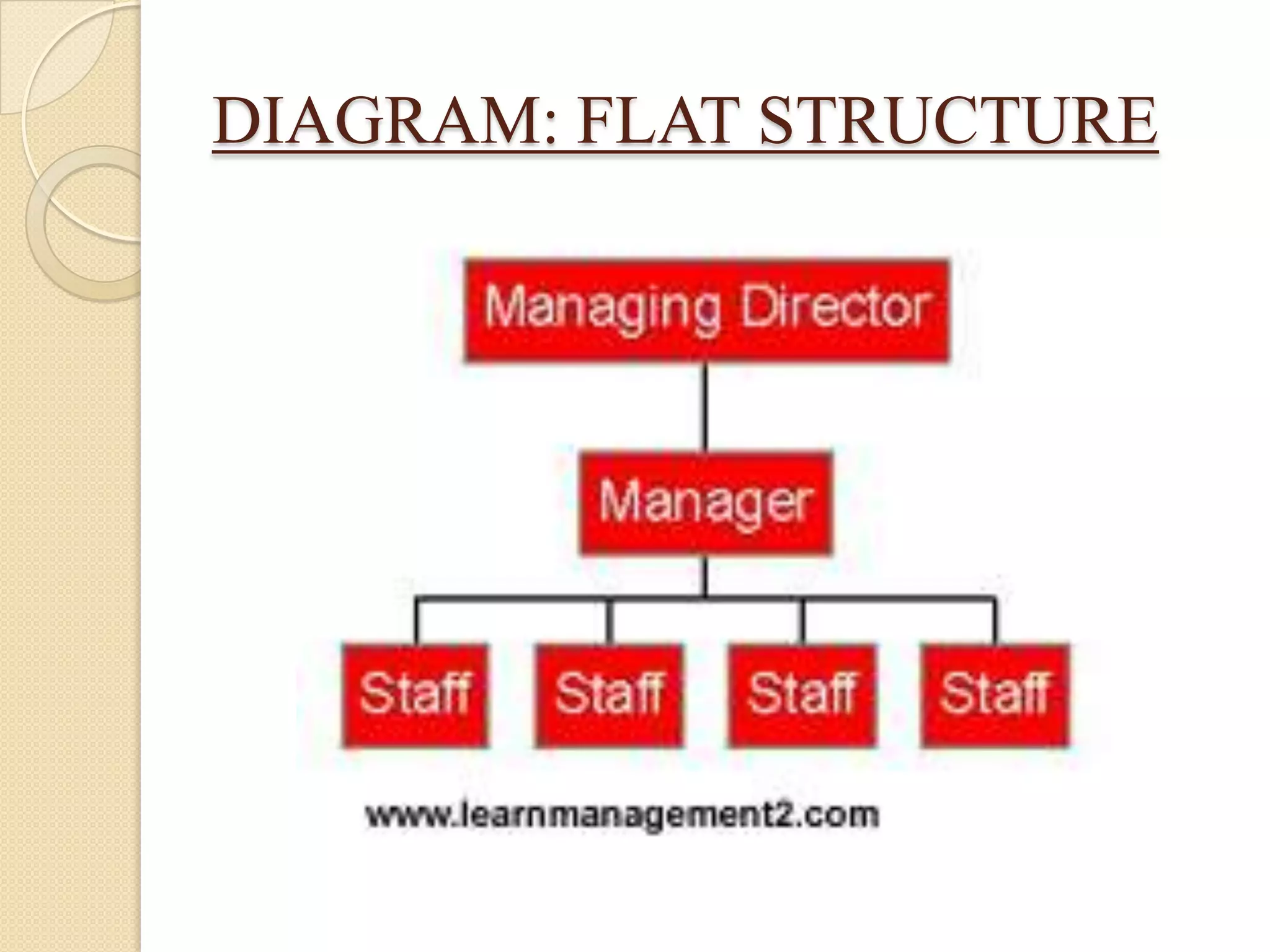 DIAGRAM: FLAT STRUCTURE
 