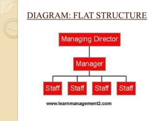 DIAGRAM: FLAT STRUCTURE
 