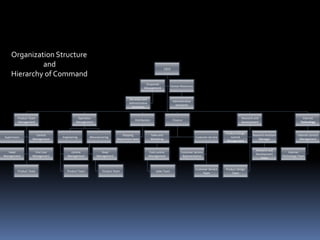 Organization Structure                    and Hierarchy of Command 