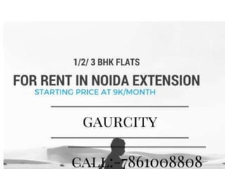 Flats for rent near gaur chowk noida extension