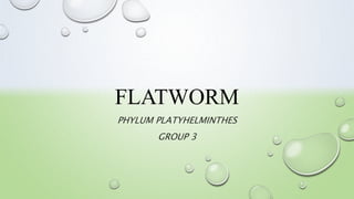FLATWORM
PHYLUM PLATYHELMINTHES
GROUP 3
 