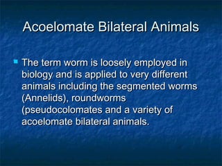 Acoelomate Bilateral Animals

   The term worm is loosely employed in
    biology and is applied to very different
    animals including the segmented worms
    (Annelids), roundworms
    (pseudocolomates and a variety of
    acoelomate bilateral animals.
 
