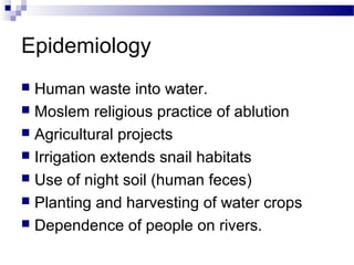 Epidemiology
 Human waste into water.
 Moslem religious practice of ablution
 Agricultural projects
 Irrigation extends snail habitats
 Use of night soil (human feces)
 Planting and harvesting of water crops
 Dependence of people on rivers.
 