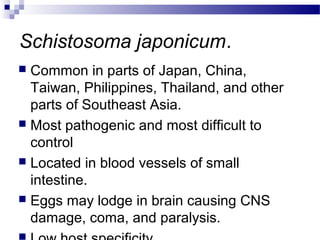 Schistosoma japonicum.
 Common in parts of Japan, China,
Taiwan, Philippines, Thailand, and other
parts of Southeast Asia.
 Most pathogenic and most difficult to
control
 Located in blood vessels of small
intestine.
 Eggs may lodge in brain causing CNS
damage, coma, and paralysis.
 