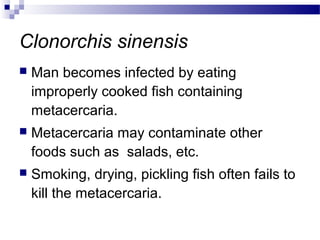 Clonorchis sinensis
 Man becomes infected by eating
improperly cooked fish containing
metacercaria.
 Metacercaria may contaminate other
foods such as salads, etc.
 Smoking, drying, pickling fish often fails to
kill the metacercaria.
 