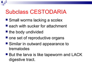Subclass CESTODARIA
 Small worms lacking a scolex
 each with sucker for attachment
 the body undivided
 one set of reproductive organs
 Similar in outward appearance to
trematodes
 But the larva is like tapeworm and LACK
digestive tract.
 