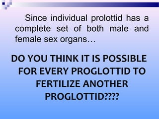 Since individual prolottid has a
complete set of both male and
female sex organs…
DO YOU THINK IT IS POSSIBLE
FOR EVERY PROGLOTTID TO
FERTILIZE ANOTHER
PROGLOTTID????
 