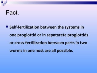 Fact.
 Self-fertilization between the systems in
one proglottid or in sepatarete proglottids
or cross-fertilization between parts in two
worms in one host are all possible.
 