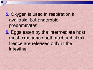 5. Oxygen is used in respiration if
available, but anaerobic
predominates.
6. Eggs eaten by the intermediate host
must experience both acid and alkali.
Hence are released only in the
intestine.
 