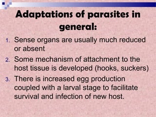 Adaptations of parasites in
general:
1. Sense organs are usually much reduced
or absent
2. Some mechanism of attachment to the
host tissue is developed (hooks, suckers)
3. There is increased egg production
coupled with a larval stage to facilitate
survival and infection of new host.
 