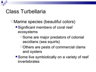 Class Turbellaria
Marine species (beautiful colors)
 Significant members of coral reef
ecosystems
Some are major predators of colonial
ascidians (sea squirts)
Others are pests of commercial clams
and oysters
 Some live symbiotically on a variety of reef
invertebrates
 