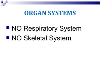 ORGAN SYSTEMS
 NO Respiratory System
 NO Skeletal System
 