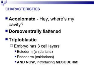 CHARACTERISTICS
 Acoelomate - Hey, where’s my
cavity?
 Dorsoventrally flattened
 Triploblastic
 Embryo has 3 cell layers
 Ectoderm (cnidarians)
 Endoderm (cnidarians)
 AND NOW, introducing MESODERM!
 