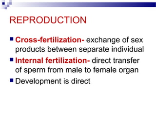 REPRODUCTION
 Cross-fertilization- exchange of sex
products between separate individual
 Internal fertilization- direct transfer
of sperm from male to female organ
 Development is direct
 