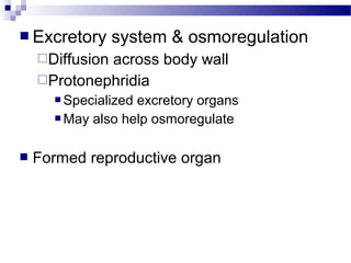  Excretory system & osmoregulation
Diffusion across body wall
Protonephridia
 Specialized excretory organs
 May also help osmoregulate
 Formed reproductive organ
 