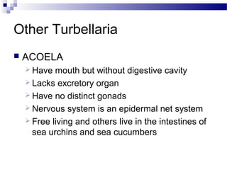 Other Turbellaria
 ACOELA
 Have mouth but without digestive cavity
 Lacks excretory organ
 Have no distinct gonads
 Nervous system is an epidermal net system
 Free living and others live in the intestines of
sea urchins and sea cucumbers
 