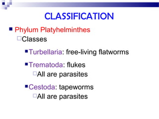 CLASSIFICATION
 Phylum Platyhelminthes
Classes
Turbellaria: free-living flatworms
Trematoda: flukes
All are parasites
Cestoda: tapeworms
All are parasites
 