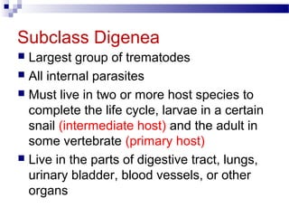 Subclass Digenea
 Largest group of trematodes
 All internal parasites
 Must live in two or more host species to
complete the life cycle, larvae in a certain
snail (intermediate host) and the adult in
some vertebrate (primary host)
 Live in the parts of digestive tract, lungs,
urinary bladder, blood vessels, or other
organs
 