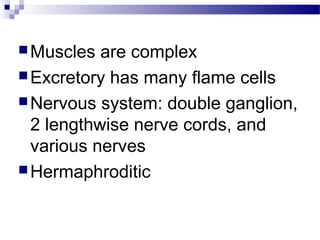 Muscles are complex
Excretory has many flame cells
Nervous system: double ganglion,
2 lengthwise nerve cords, and
various nerves
Hermaphroditic
 