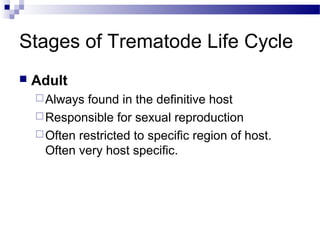 Stages of Trematode Life Cycle
 Adult
Always found in the definitive host
Responsible for sexual reproduction
Often restricted to specific region of host.
Often very host specific.
 