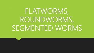FLATWORMS,
ROUNDWORMS,
SEGMENTED WORMS
 