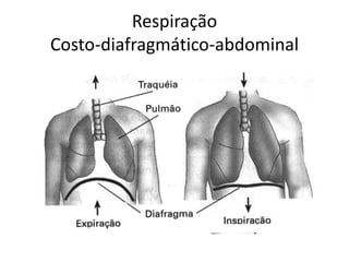 Respiração
Costo-diafragmático-abdominal
 
