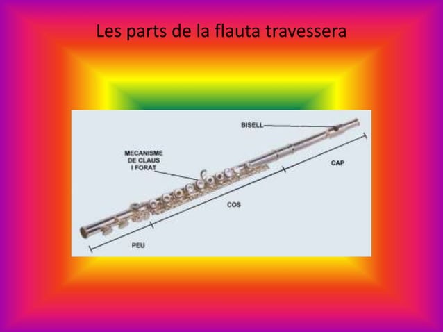 Flauta travassera | PPTX