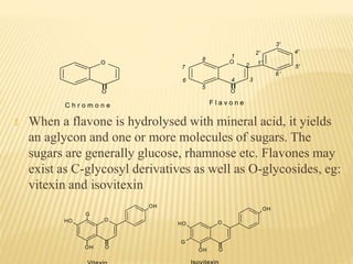 🞭 When a flavone is hydrolysed with mineral acid, it yields
an aglycon and one or more molecules of sugars. The
sugars are generally glucose, rhamnose etc. Flavones may
exist as C-glycosyl derivatives as well as O-glycosides, eg:
vitexin and isovitexin
G
HO O
OH
G
HO O
OH
OH O
OH O
O
O
C h r o m o n e F l a v o n e
1
O
2
3
4
O
5
6
7
8
1'
2'
3'
4'
5'
6'
 