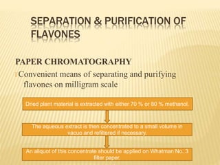 SEPARATION & PURIFICATION OF
FLAVONES
PAPER CHROMATOGRAPHY
🞭 Convenient means of separating and purifying
flavones on milligram scale
Dried plant material is extracted with either 70 % or 80 % methanol.
The aqueous extract is then concentrated to a small volume in
vacuo and refiltered if necessary.
An aliquot of this concentrate should be applied on Whatman No. 3
filter paper.
 
