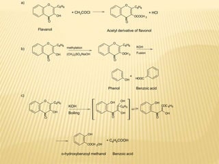 O
O
C6H6
OH
Flavanol
+ CH3COCl
O
O
C H
6 6
+ HCl
OCOCH 3
Acetyl derivative of flavonol
O
O
C6H6
OH
methylation
(CH3)2SO4/NaOH
O
O
C6H6
OCH 3
KOH
Fusion
HOOC
+
OH
Phenol Benzoic acid
O
O
C6H6
OH
KOH
Boiling
OH
O
OH
C6H5
OH
OH
O
COC 6H5
OH
OH
+ C6H5COOH
COCH 2OH
o-hydroxybenzoyl methanol Benzoic acid
a)
b)
c)
 