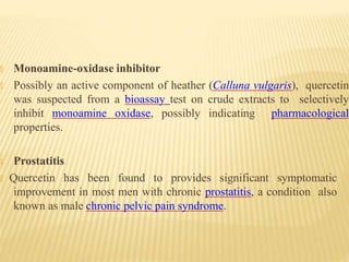 🞭 Monoamine-oxidase inhibitor
🞭 Possibly an active component of heather (Calluna vulgaris), quercetin
was suspected from a bioassay test on crude extracts to selectively
inhibit monoamine oxidase, possibly indicating pharmacological
properties.
🞭 Prostatitis
🞭 Quercetin has been found to provides significant symptomatic
improvement in most men with chronic prostatitis, a condition also
known as male chronic pelvic pain syndrome.
 
