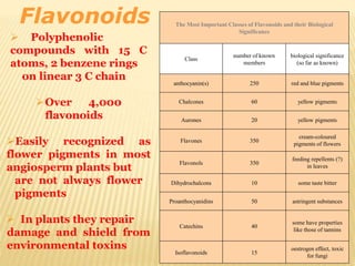 Flavonoids
 Polyphenolic
compounds with 15 C
atoms, 2 benzene rings
on linear 3 C chain
Over 4,000
flavonoids
Easily recognized as
flower pigments in most
angiosperm plants but
are not always flower
pigments
 In plants they repair
damage and shield from
environmental toxins
The Most Important Classes of Flavonoids and their Biological
Significance
Class
number of known
members
biological significance
(so far as known)
anthocyanin(s) 250 red and blue pigments
Chalcones 60 yellow pigments
Aurones 20 yellow pigments
Flavones 350
cream-coloured
pigments of flowers
Flavonols 350
feeding repellents (?)
in leaves
Dihydrochalcons 10 some taste bitter
Proanthocyanidins 50 astringent substances
Catechins 40
some have properties
like those of tannins
Isoflavonoids 15
oestrogen effect, toxic
for fungi
 