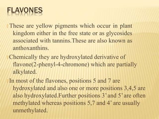 FLAVONES
🞭 These are yellow pigments which occur in plant
kingdom either in the free state or as glycosides
associated with tannins.These are also known as
anthoxanthins.
🞭 Chemically they are hydroxylated derivative of
flavone(2-phenyl-4-chromone) which are partially
alkylated.
🞭 In most of the flavones, positions 5 and 7 are
hydroxylated and also one or more positions 3,4,5 are
also hydroxylated.Further positions 3’and 5’are often
methylated whereas positions 5,7 and 4’ are usually
unmethylated.
 