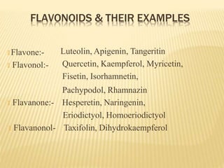 flavanoids.pptx