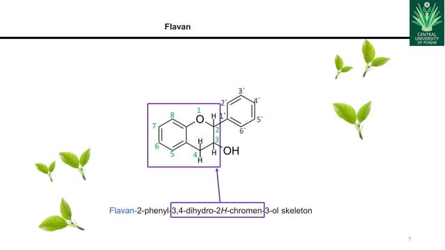 flavanol, flavanoid, structure, biological sourceflavanol.pptx